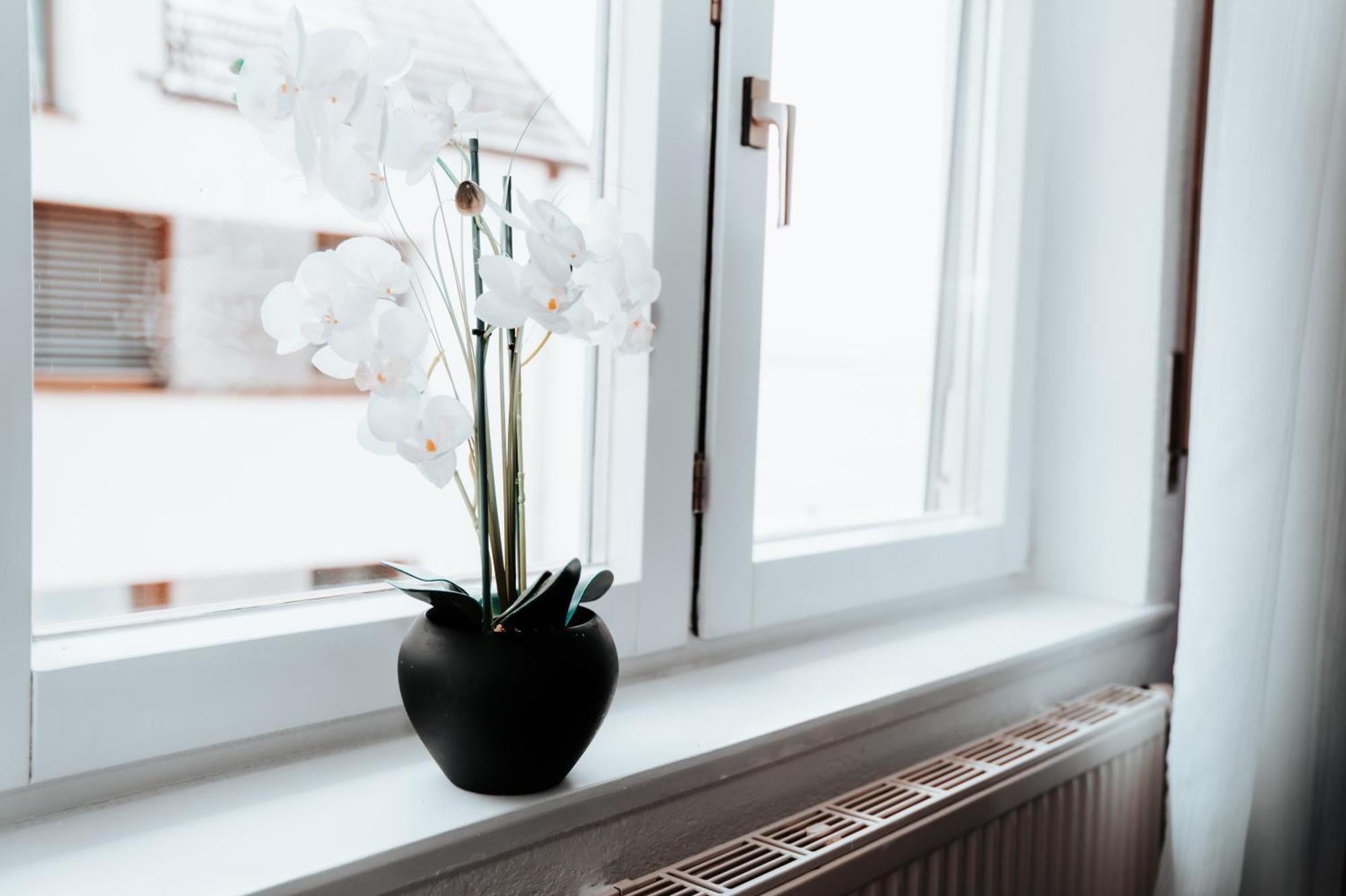 Ferienwohnung Ella - Direkt Am Bodensee Friedrichshafen Ngoại thất bức ảnh
